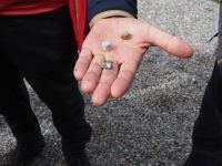 Rino zeigt die verschiedenen Gesteinsformen 