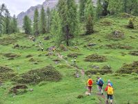 3. Wandertag: Überraschungs-Wanderung im Parco Naturale Adamello Brenta