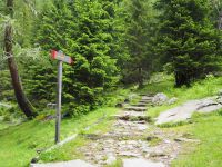 der Weg steigt nur ganz leicht an wie Rino zu sagen pflegte, manchmal stimmte es auch