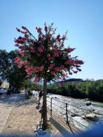 Meran - Kurpromenade