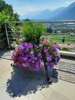 Tappeiner Weg - Cafe Unterweger