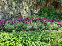 Tappeiner Weg - Impressionen