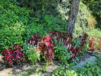 Tappeiner Weg - Impressionen