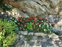 Tappeiner Weg - Impressionen