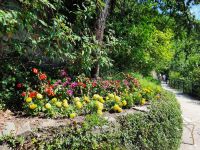 Tappeiner Weg - Impressionen