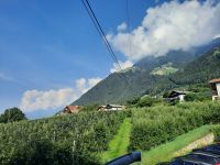 Blick zu den Muthöfen