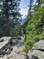 Hochganghaus - Goidner Alm