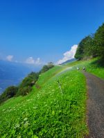Wanderweg mit Regenbogen