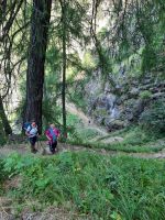 Wanderweg zur 1000 Stufen Schlucht