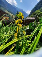 Pfossental - Mitterkaser