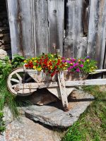 Pfossental - Mitterkaser