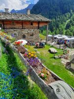 Weg zum Eishof - Rableid Alm