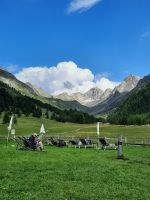 Blick ins Pfossental