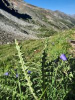 Pfossental - Weg zum Eisjoch