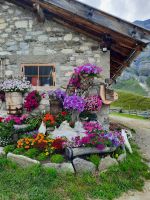 Lazins Alm in Pfelders