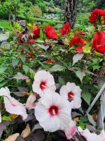 Gärten von Schloss Trauttmansdorff