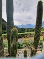 Gärten von Schloss Trauttmansdorff