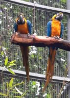 Gärten von Schloss Trauttmansdorff