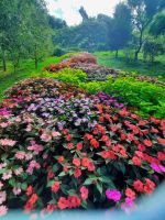 Gärten von Schloss Trauttmansdorff