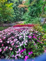 Gärten von Schloss Trauttmansdorff