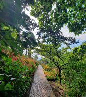 Gärten von Schloss Trauttmansdorff