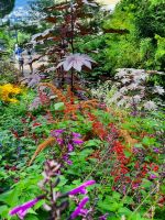 Gärten von Schloss Trauttmansdorff