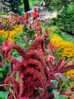 Gärten von Schloss Trauttmansdorff