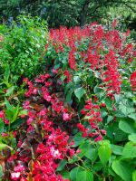 Gärten von Schloss Trauttmansdorff