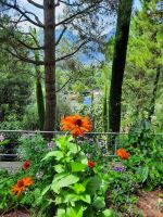 Gärten von Schloss Trauttmansdorff