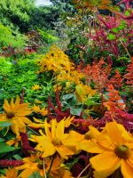 Gärten von Schloss Trauttmansdorff