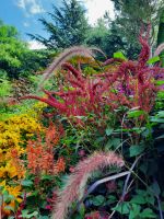 Gärten von Schloss Trauttmansdorff