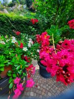 Gärten von Schloss Trauttmansdorff