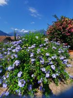 Gärten von Schloss Trauttmansdorff