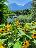 Gärten von Schloss Trauttmansdorff