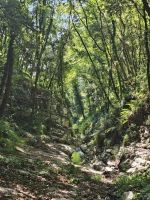 atemberaubende Natur