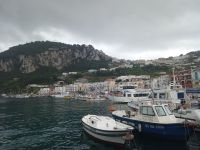 Hafen von Capri 