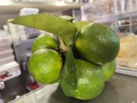 Bergamotte - so sehen sie aus