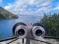 Scilla - Was guckst Du?