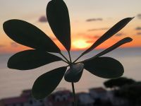 Abendstimmung Santa Maria