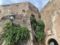 Scilla Burg mit Kapernpflanzen