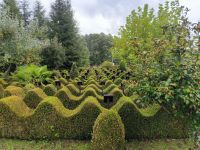 Mongiana. Botanischer Garten Villa Vittoria