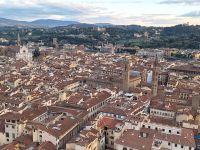 20240916_190058, Blick über die Stadt hinweg ins Grüne.jpg