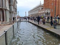 20240918_132510, auf Stegen durchs Wasser.jpg