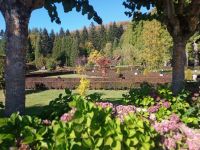 Orto botanico in Mongiana 