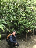 Wanderreise am Gardasee 13.10.24 hier die Infos zur Bewässerung und Bodenbeschaffenheit