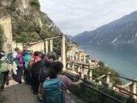 Wanderreise am Gardasee 13.10.24 - Blick aus dem Zitronengarten