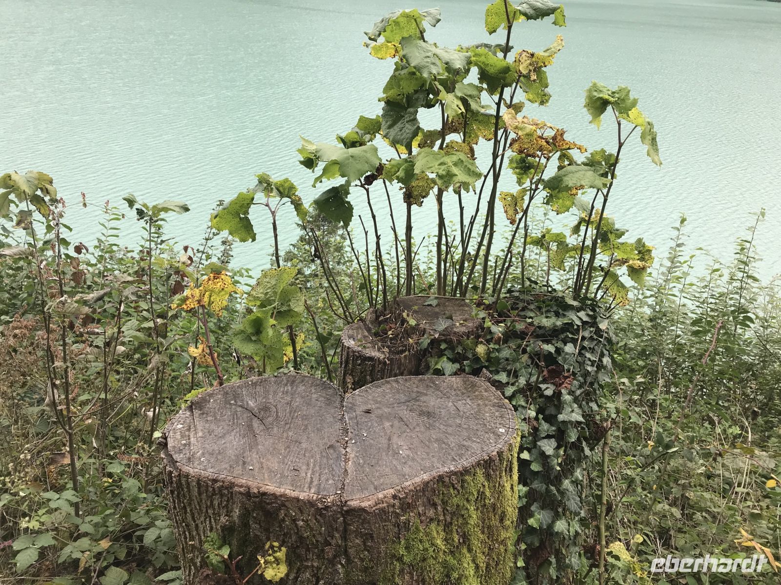 Wanderreise am Gardasee 14.10.2024 Start - Rundgang Malven See