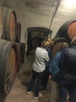 Wanderreise am Gardasee 14.10.2024  - Weingut PISONI Museum