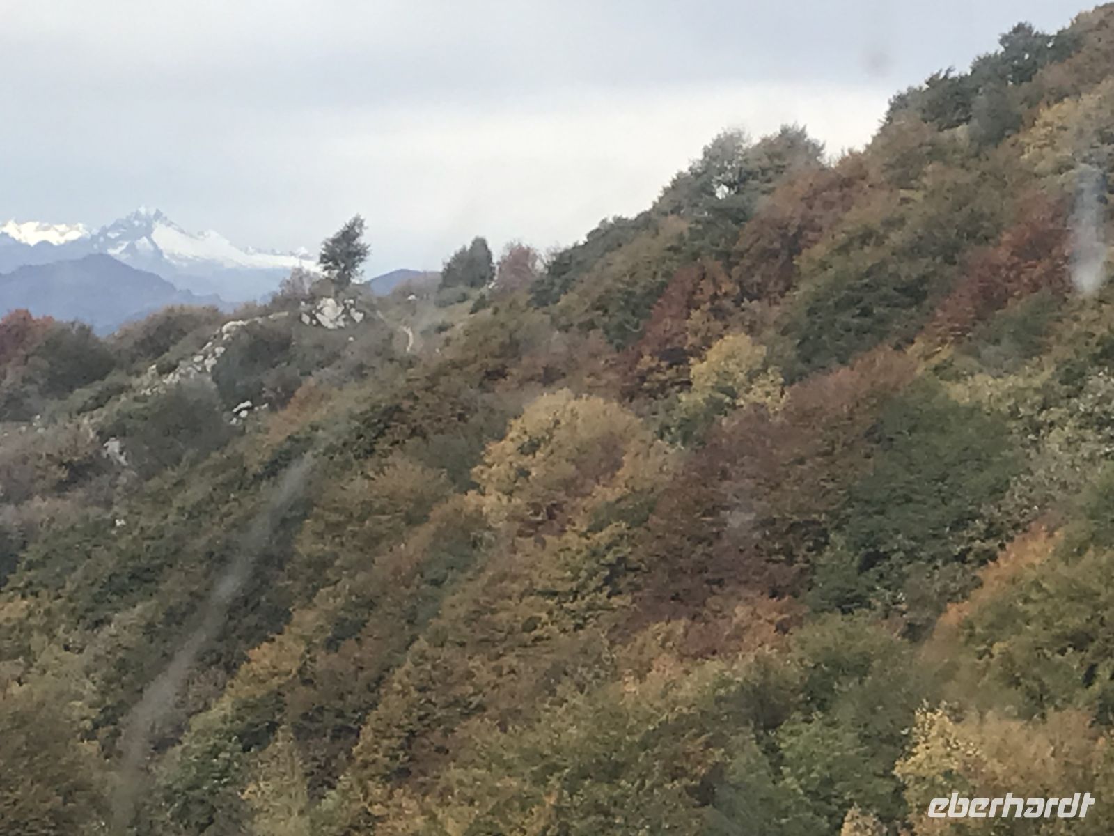 Wanderreise am Gardasee 15.10.2024  - Hochebene Monte Baldo - Talfahrt: Herbstfärbung und Schneebedeckte Dolomiten 