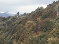 Wanderreise am Gardasee 15.10.2024  - Hochebene Monte Baldo - Talfahrt: Herbstfärbung und Schneebedeckte Dolomiten 